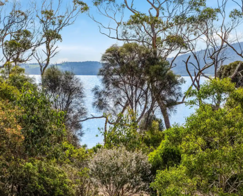 Coastal Outlook - Mandala Bruny Island & Nature
