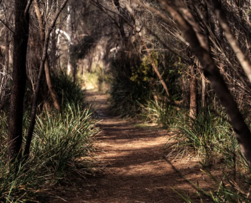 The Foreshore Track - Mandala Bruny Island & Nature