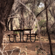 Picnic Spot - Mandala Bruny Island & Nature