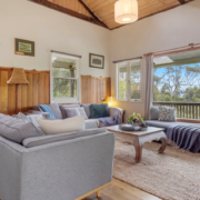 Living Room Corner details: A secondary angle of the main lounge showing the transition between the gray sofa and the timber-clad walls.